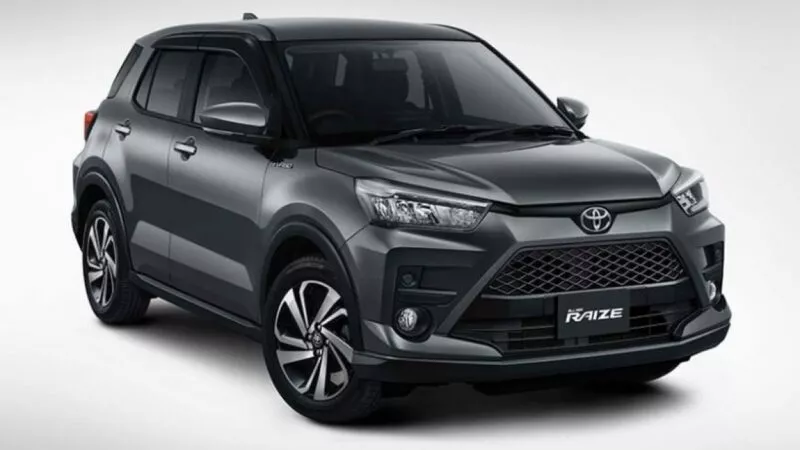 Thảm Sản 3D Raize